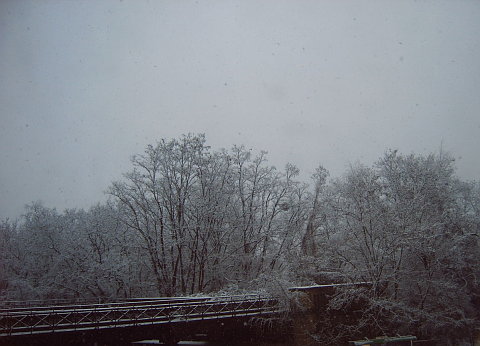 010108_6.jpg