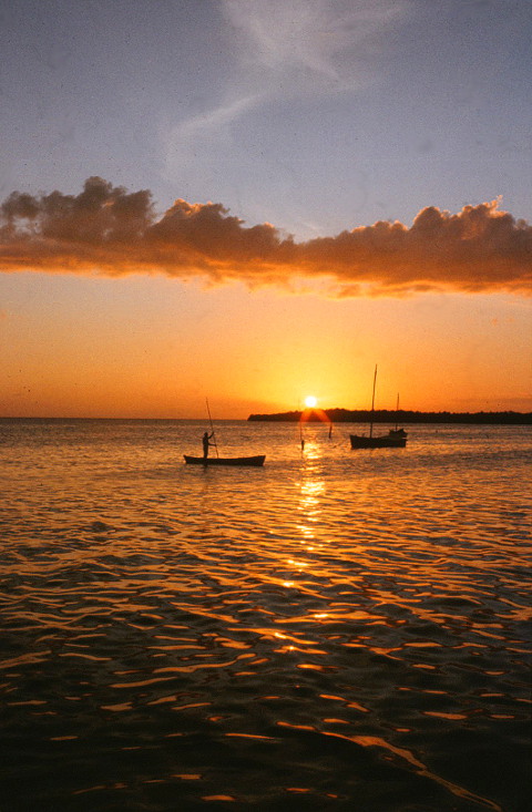 Amazonas