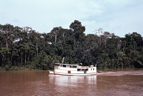Amazonas