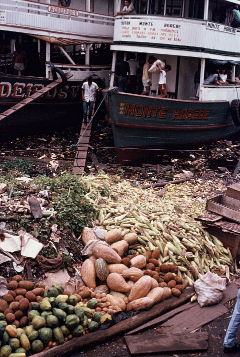 manaus