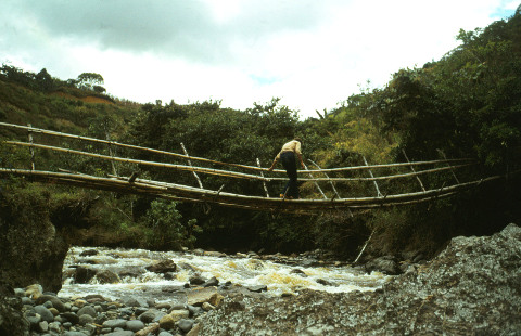 bridge