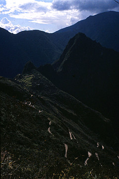 camino de los incas