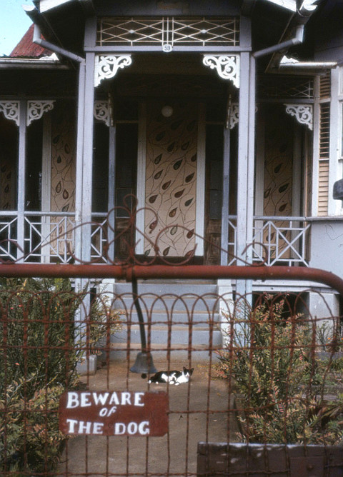 beware of the dog