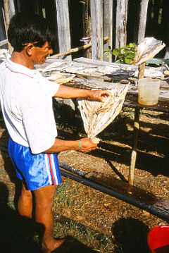 stockfisch