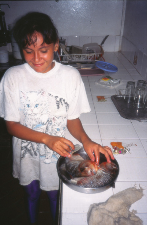 Piranha